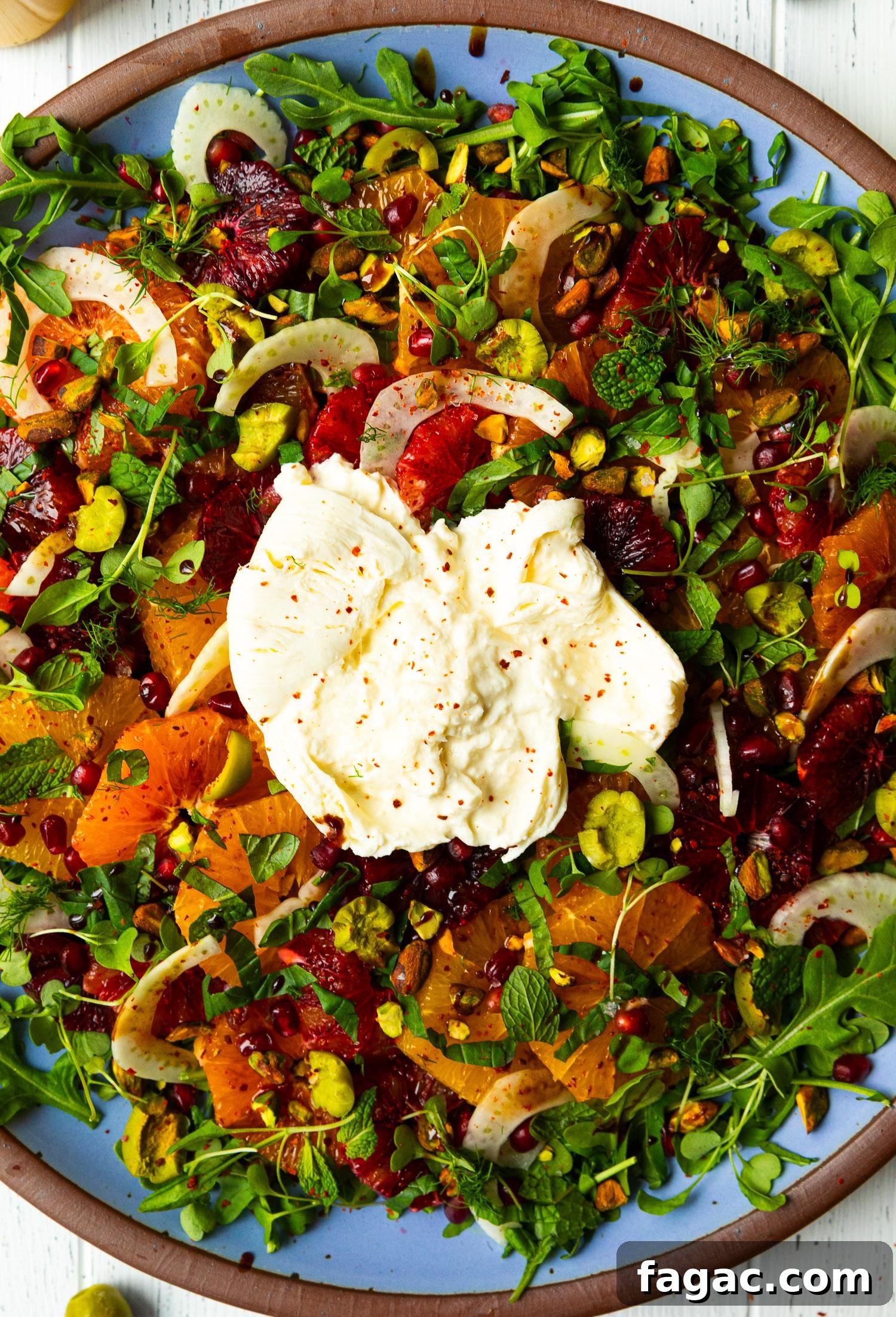 Citrus and Burrata Salad with Charred Grapefruit Vinaigrette 3 img 48046 2