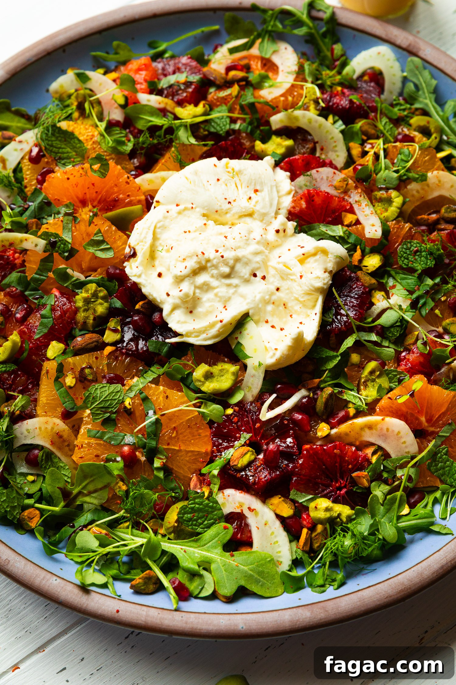 Citrus and Burrata Salad with Charred Grapefruit Vinaigrette 5 img 48046 4