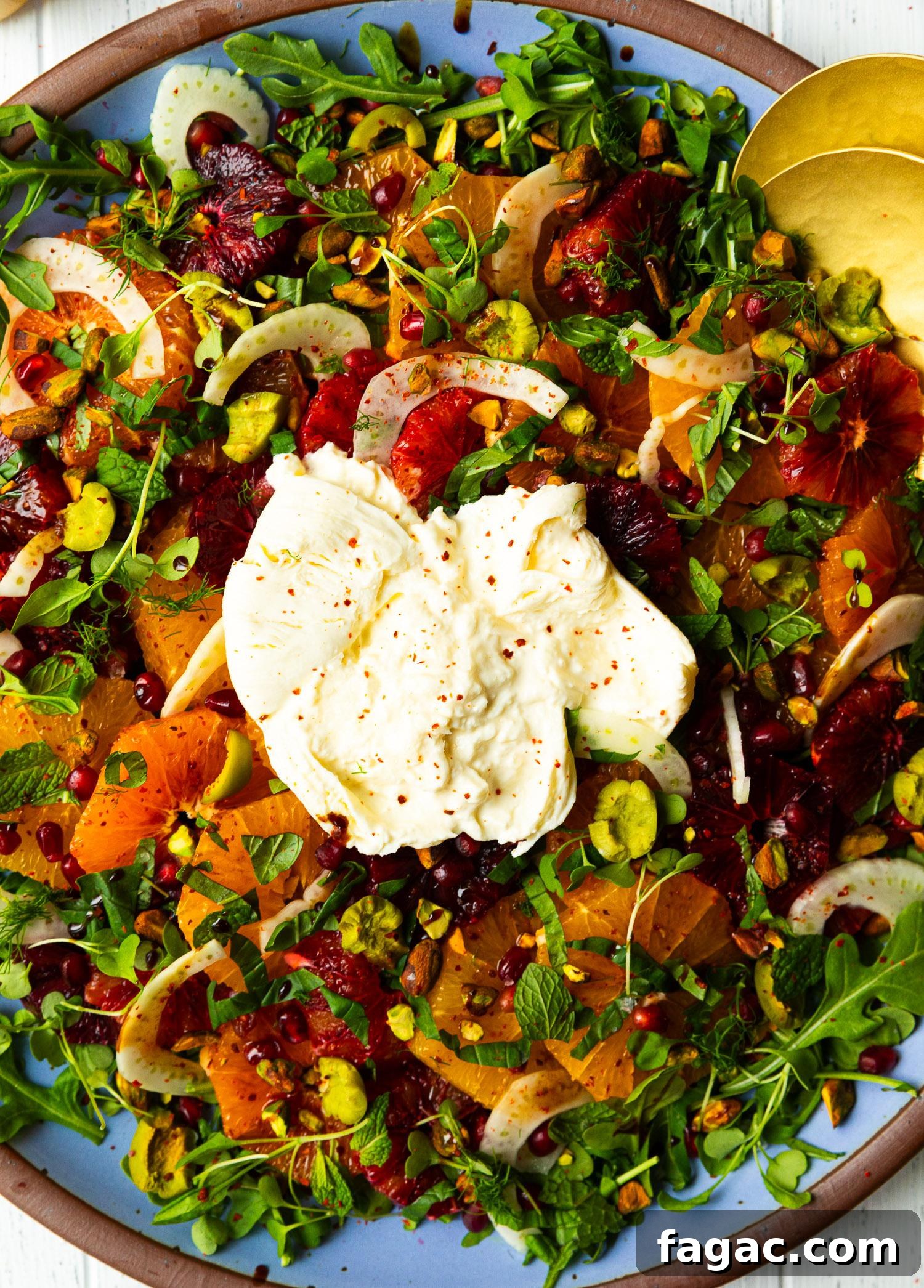 Citrus and Burrata Salad with Charred Grapefruit Vinaigrette 6 img 48046 5