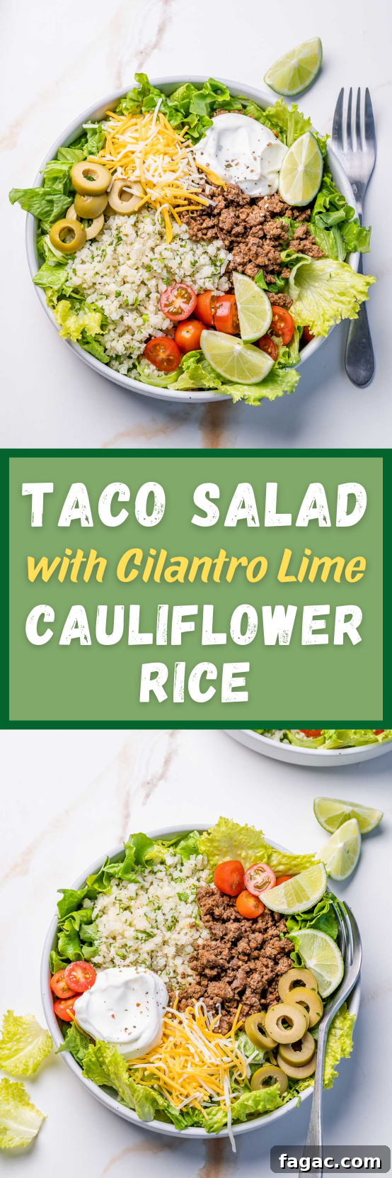 Taco Salad with Cilantro-Lime Cauliflower Rice Bowl 10 img 48260 11