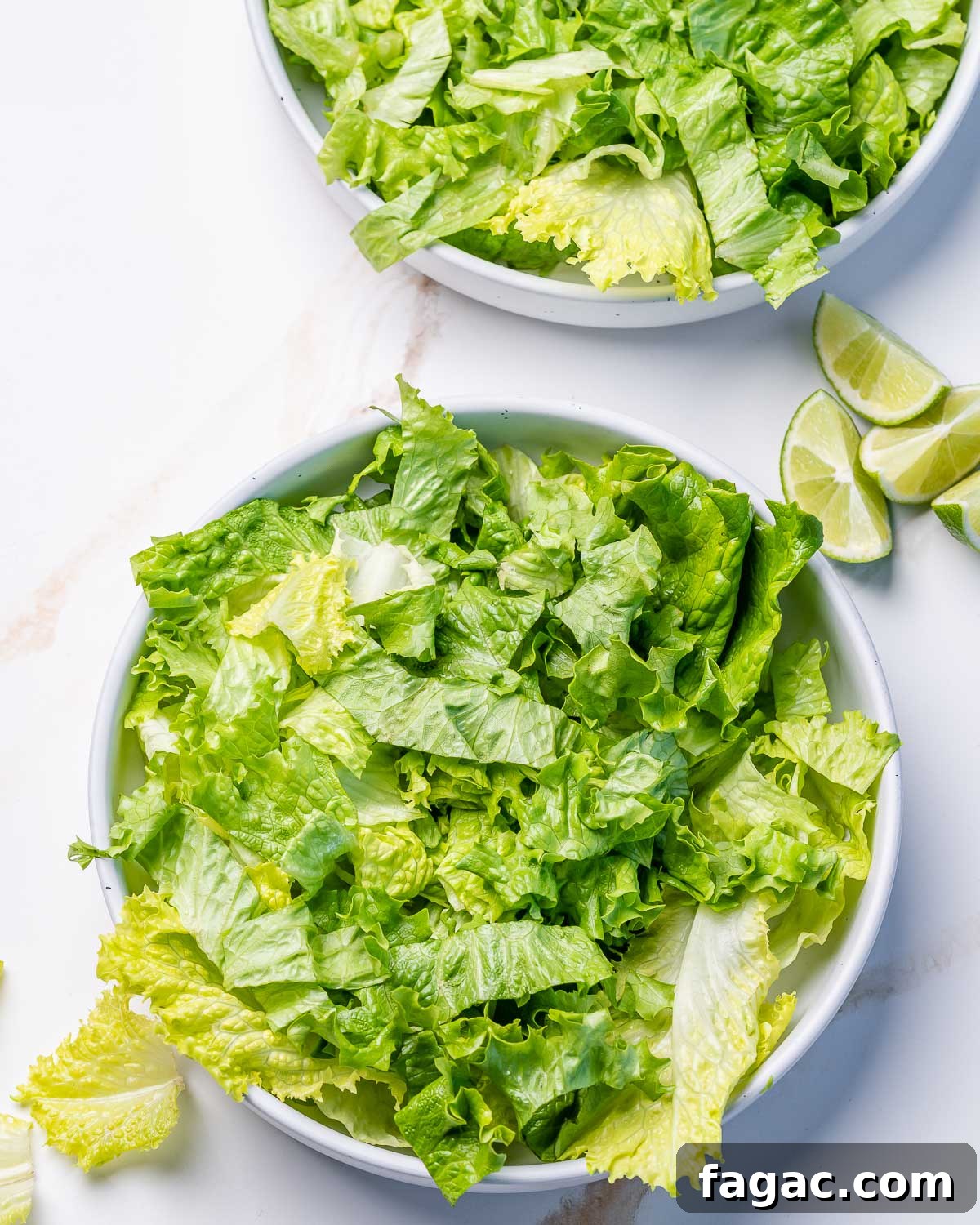 Taco Salad with Cilantro-Lime Cauliflower Rice Bowl 5 img 48260 4