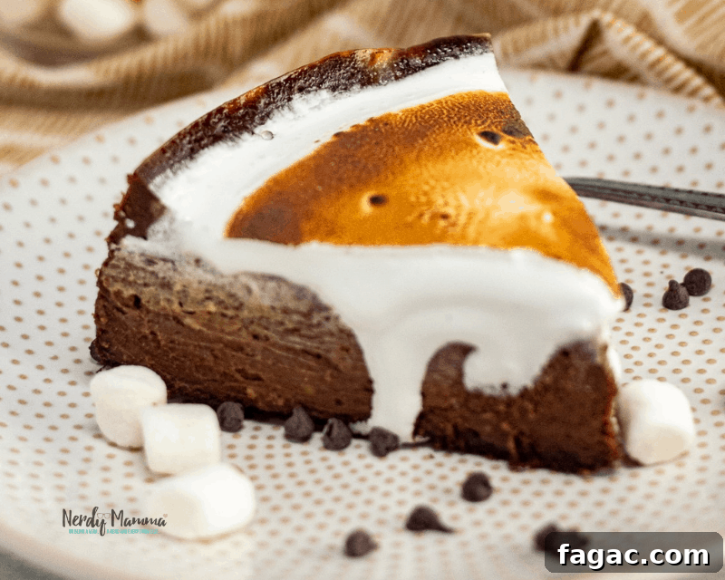 Instant Pot Hot Cocoa Cheesecake Recipe 2 Hot Cocoa Cheesecake