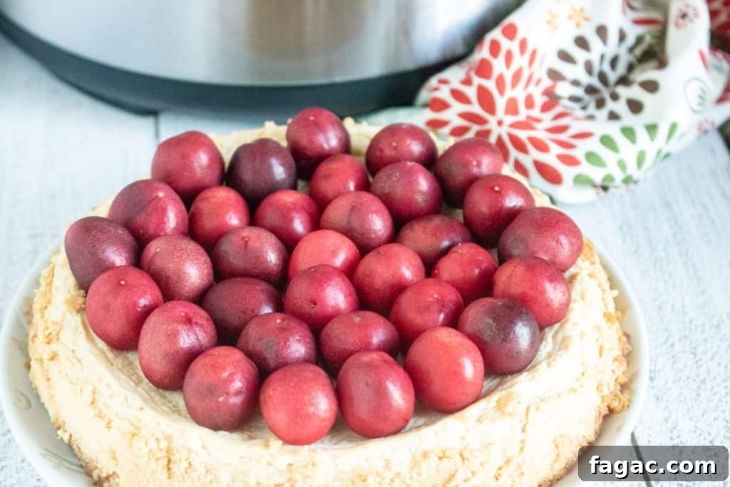 Instant Pot Hot Cocoa Cheesecake Recipe 11 img 48350 11