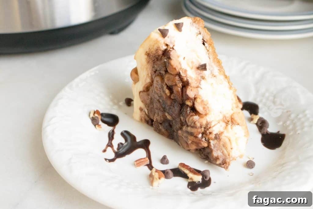 Instant Pot Hot Cocoa Cheesecake Recipe 12 img 48350 12