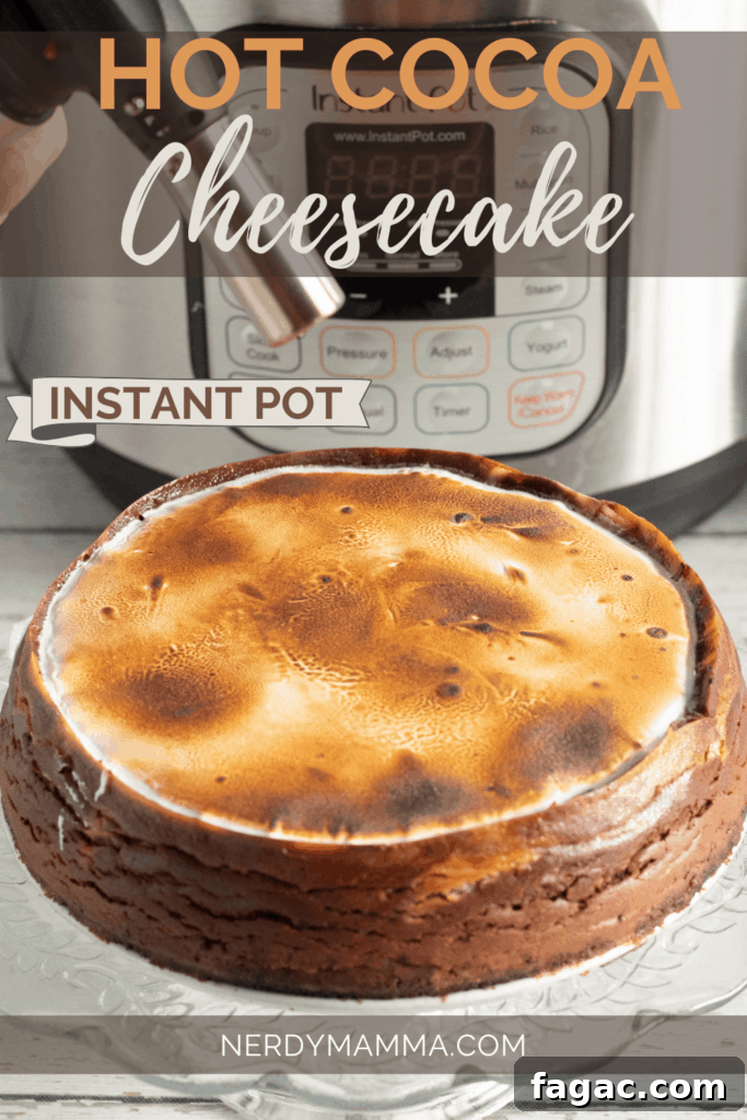 Instant Pot Hot Cocoa Cheesecake Recipe 8 Hot Cocoa Cheesecake with marshmallow