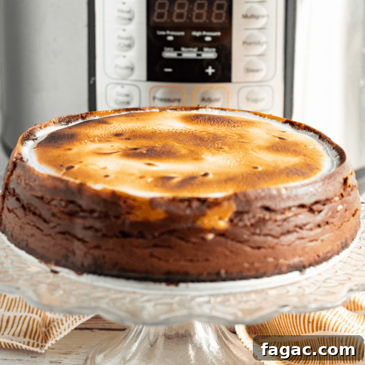 Hot Cocoa Cheesecake