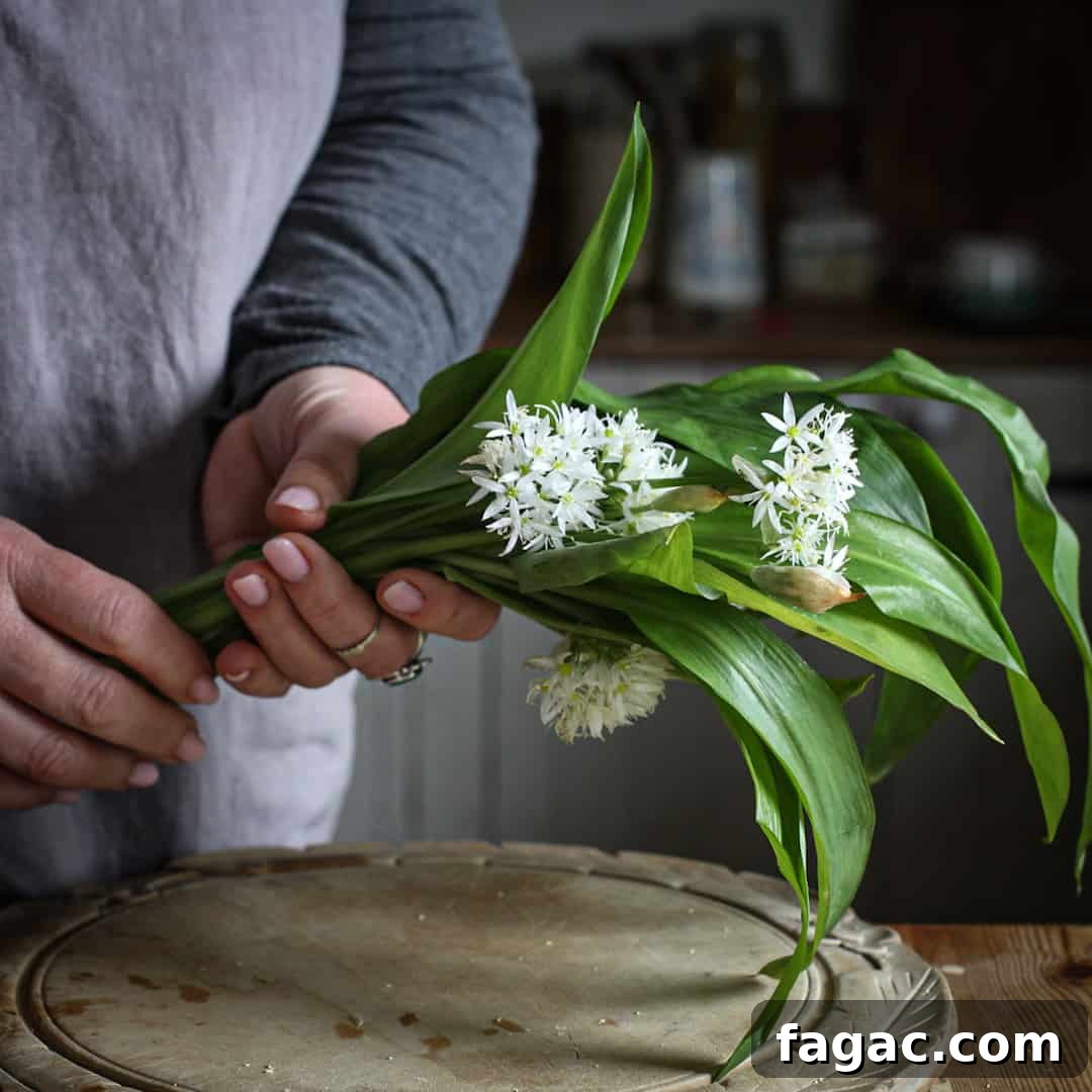 Crispy Wild Garlic Bread Recipe for Spring Gatherings 4 Woman in grey holding a bunch of wild garlic leaves and flowers
