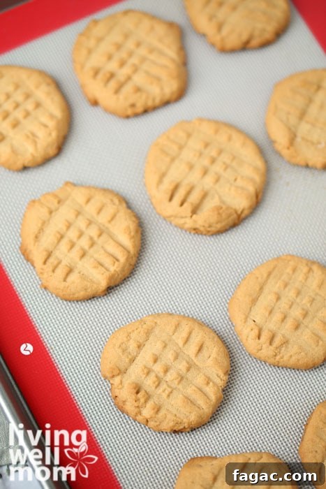 Chewy Gluten-Free Peanut Butter Cookies Recipe 10 A sheet pan with freshly baked chewy peanut butter cookies