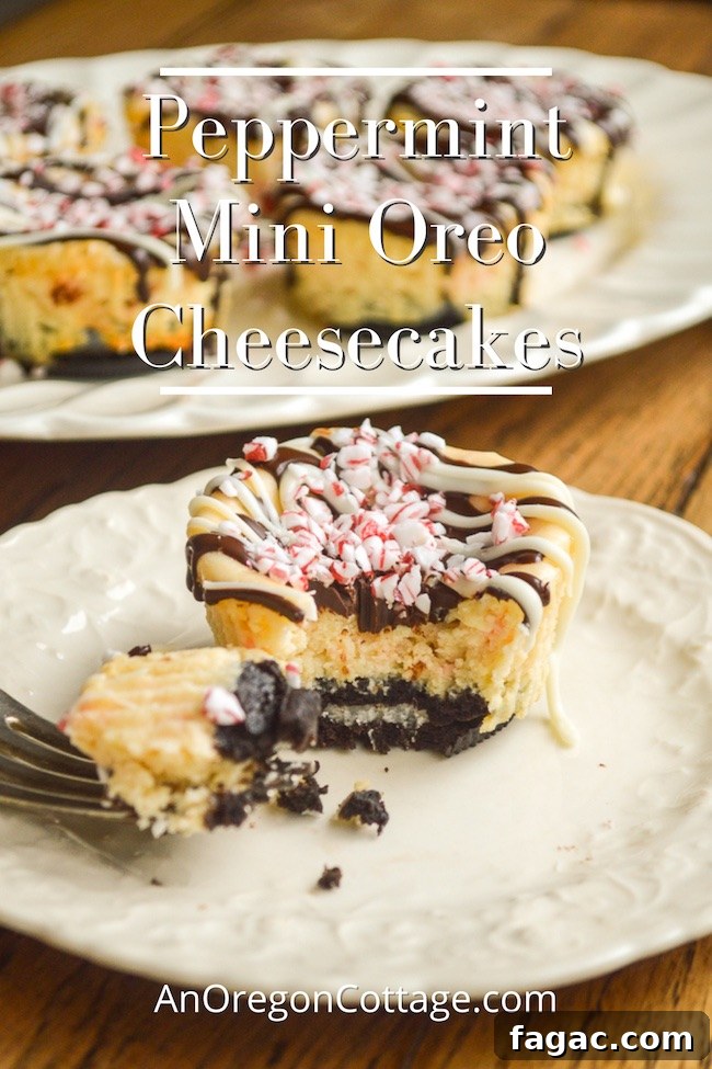 bite of peppermint mini Oreo cheesecake