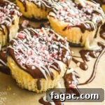 decorated Mini Cookie Peppermint Cheescakes