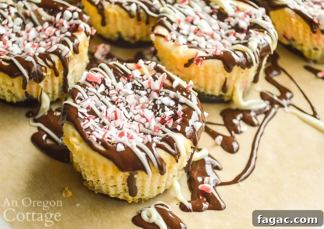 decorated Mini Cookie Peppermint Cheescakes