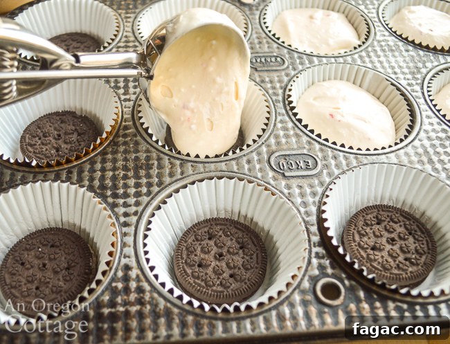 scooping batter for Mini Cookie Peppermint Cheescake
