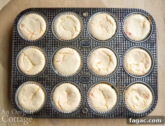 Baked Mini Cookie Peppermint Cheescakes