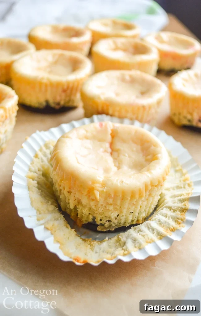 plain Mini Cookie Peppermint Cheescakes