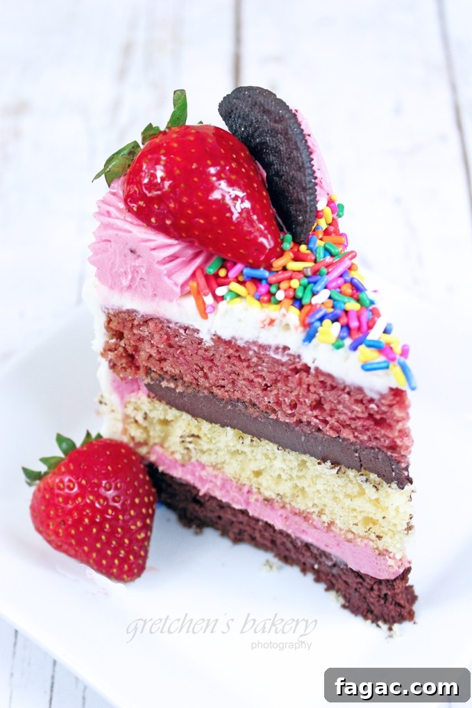 Neapolitan Layer Cake Recipe: Classic Strawberry, Vanilla & Chocolate 2 Neapolitan Cake