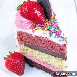 Neapolitan Cake