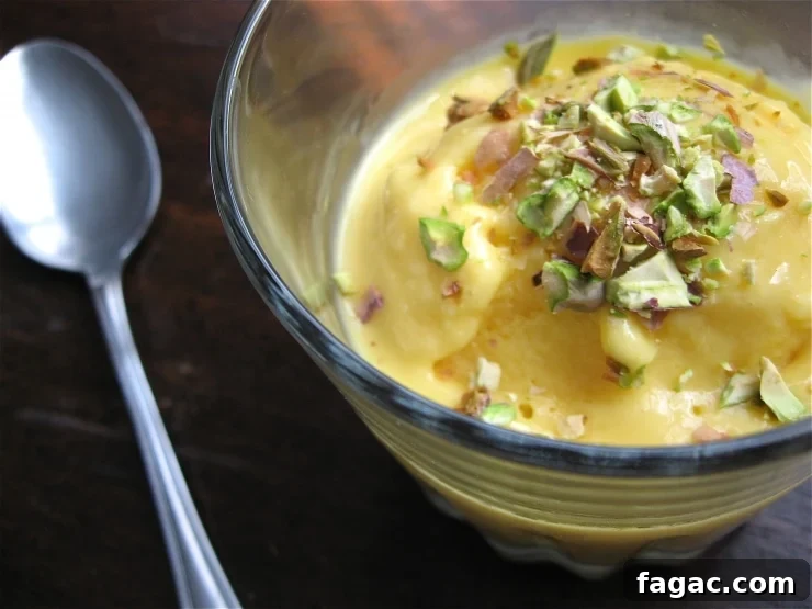 Mango Frozen Yogurt Recipe | sophisticatedgourmet.com