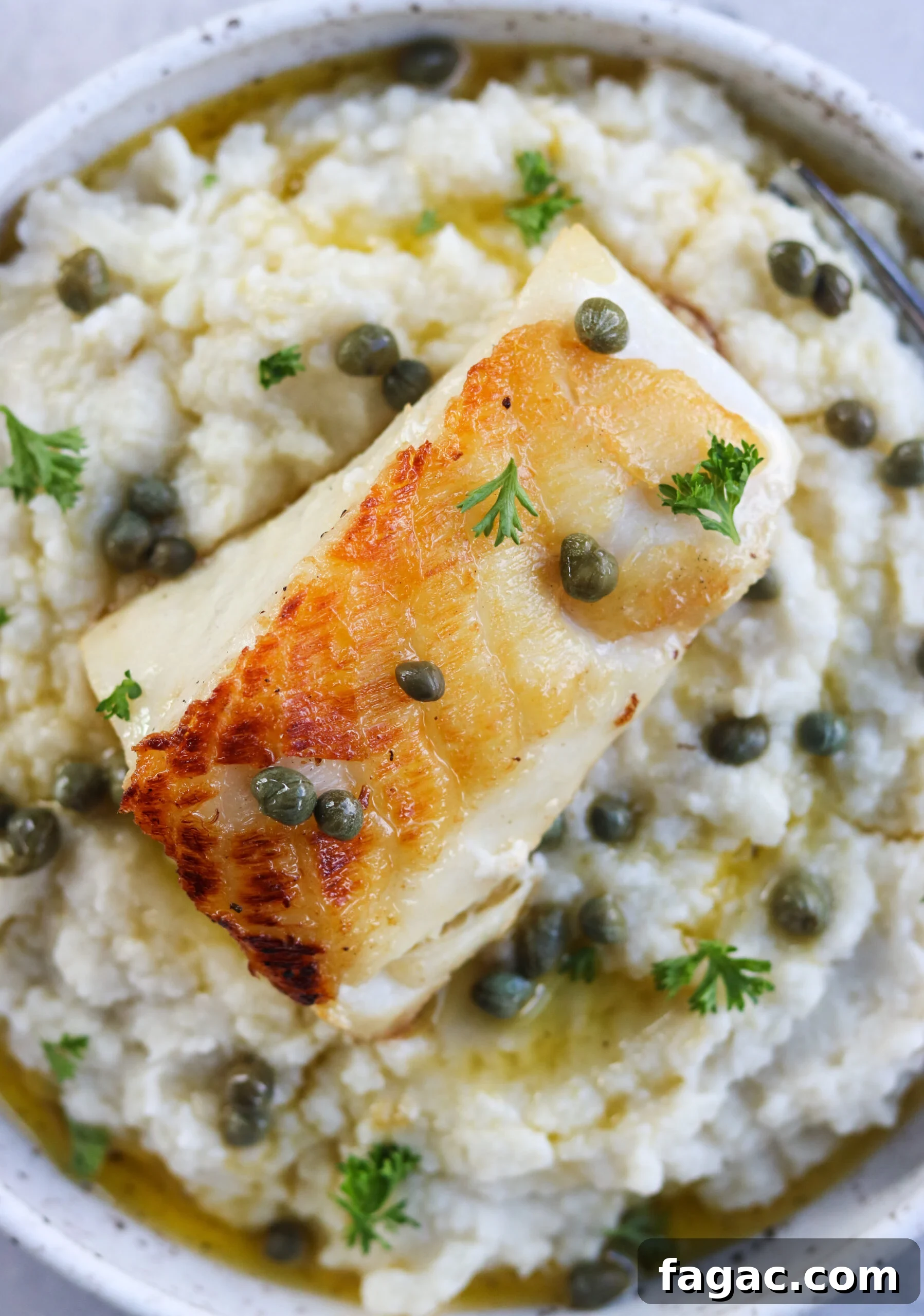 closeup of pan seared fish on top of cauliflower mash