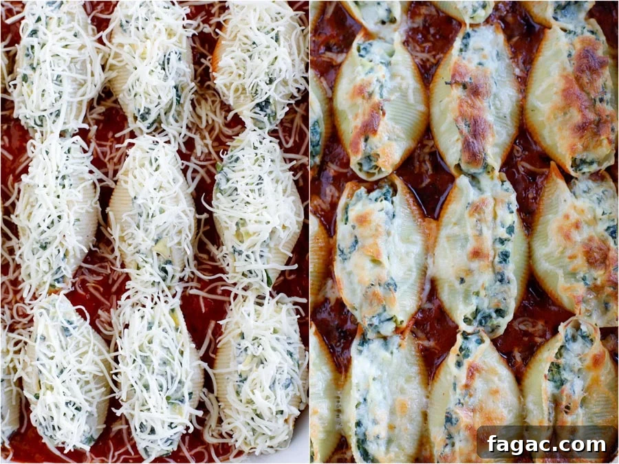 Spinach and Artichoke Stuffed Pasta Shells for Dinner 5 Stuffed shells before they bake in the oven on the left and stuffed shells after they bake in the oven on the right.