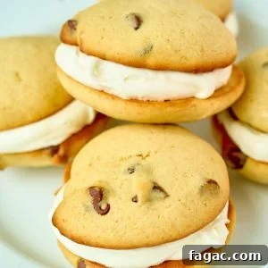 close up view of sandwich cookies with chocolate chips