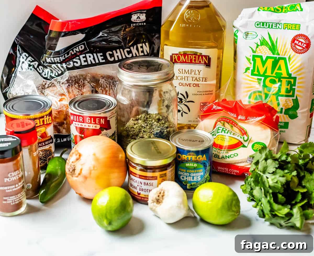 Quick Chicken Tortilla Soup Recipe for Cozy Weeknight Meals 8 photo of the ingredients for chicken tortilla soup with things like chicken, maseca, and more.