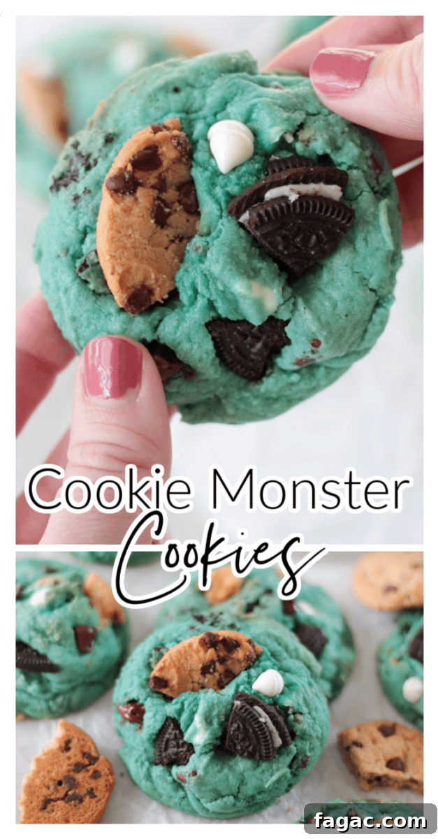 Blue Cookie Monster Cookies Recipe with Video Tutorial 2 Cookie Monster cookies