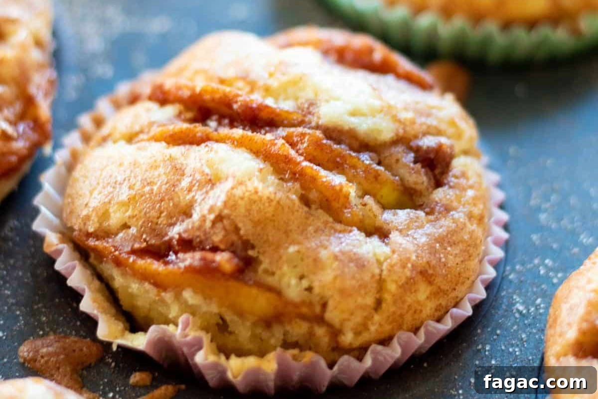 12 Fall Apple Recipes You’ll Reach for First 5 Apple Cinnamon Muffins
