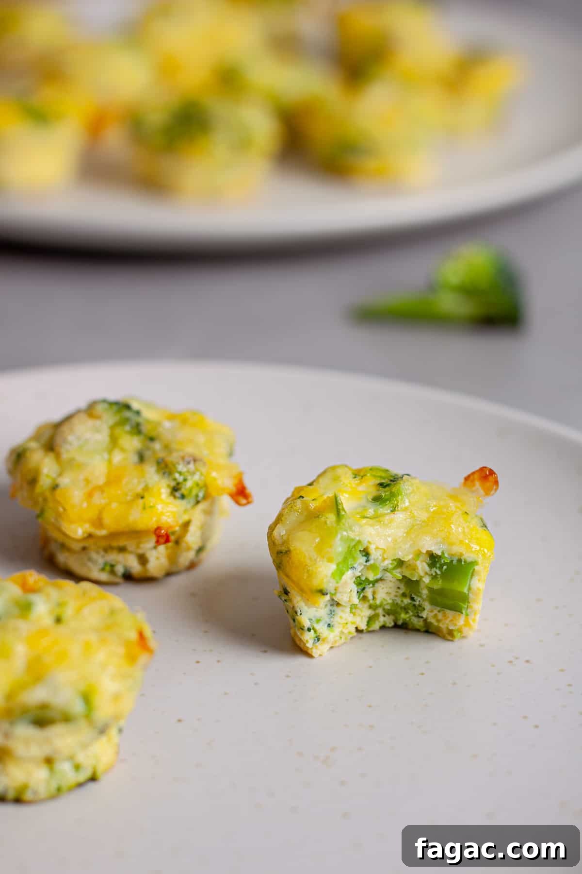 Broccoli Cheddar Mini Egg Bites: Protein-Packed Breakfast Bites 2 A small plate of mini egg bites and one has a bite taken out of it.