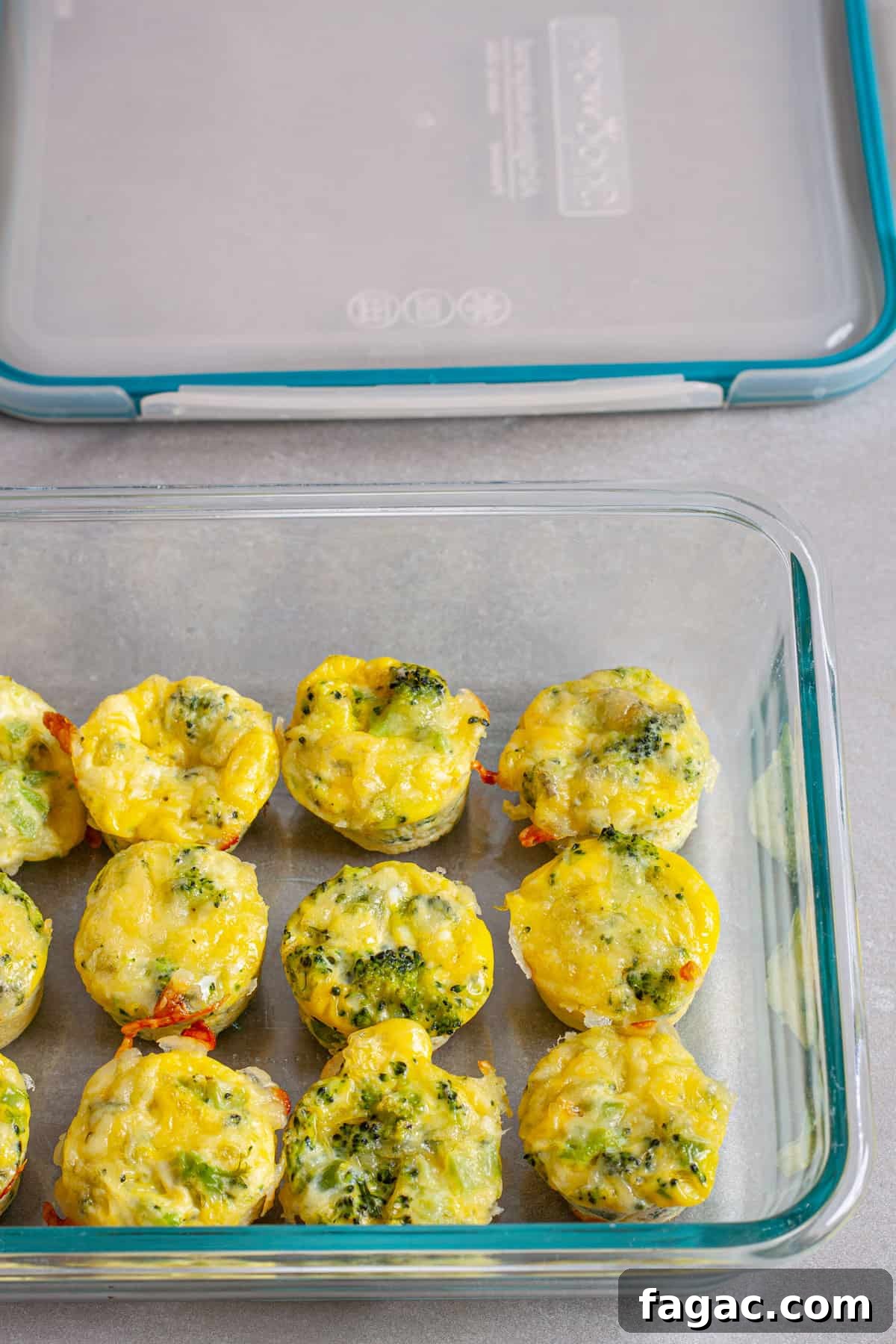Broccoli Cheddar Mini Egg Bites: Protein-Packed Breakfast Bites 12 A glass storage container with min egg bites for meal prep.