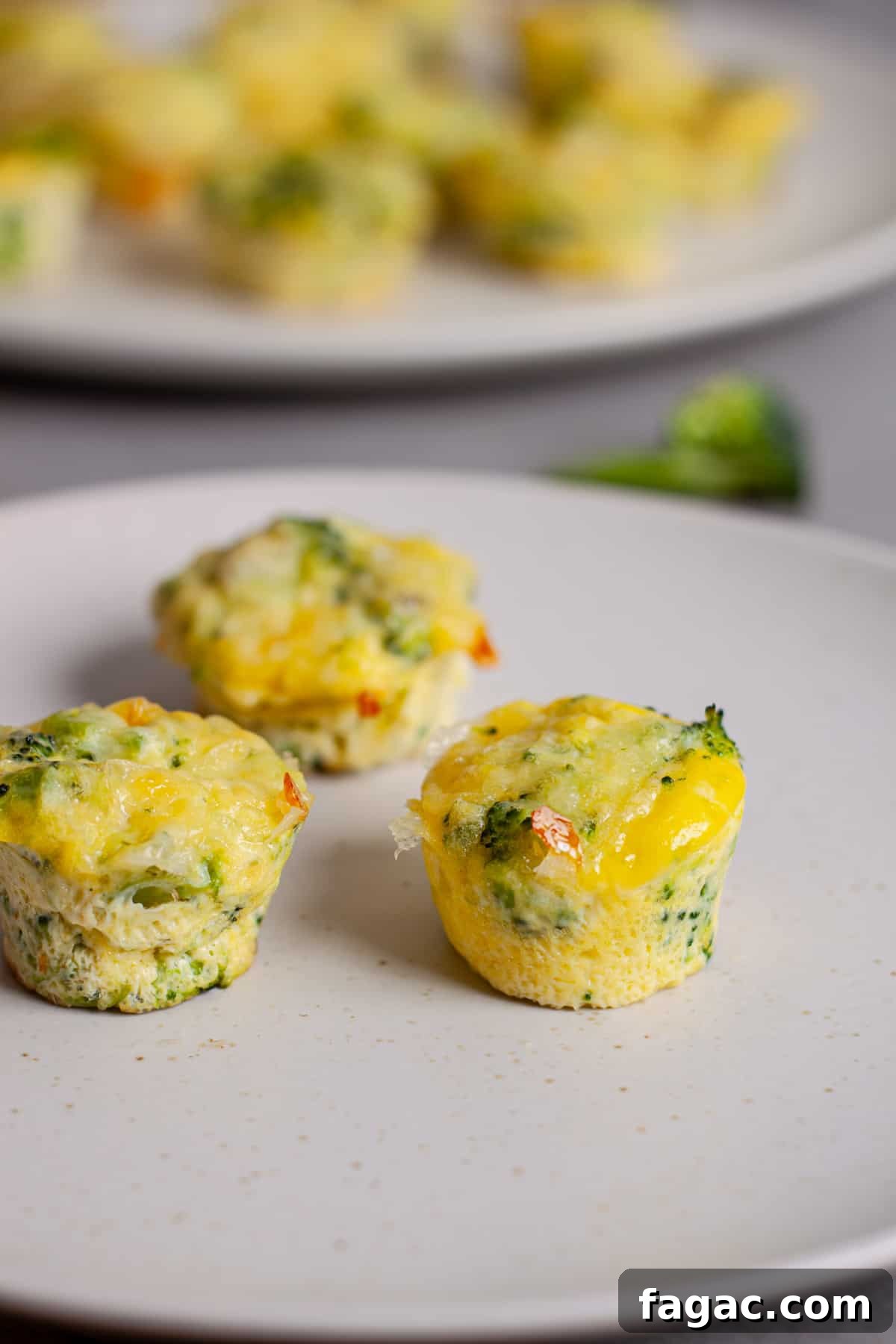 Broccoli Cheddar Mini Egg Bites: Protein-Packed Breakfast Bites 13 A small plate of mini broccoli and cheddar egg bites with more in the background.