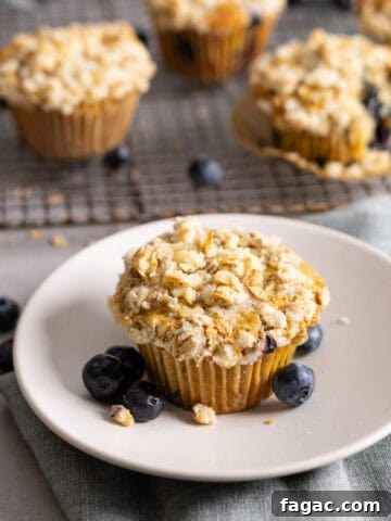 Blueberry banana oat muffins on a wire rack with a single serving on a plate.