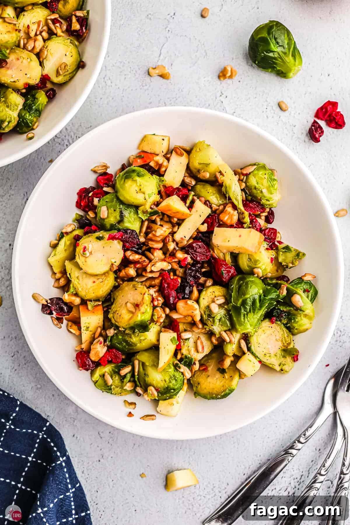 Shaved Brussels Sprouts and Cranberry Salad with Toasted Almonds 2 bowl of brussels sprouts salad with a blue napkin