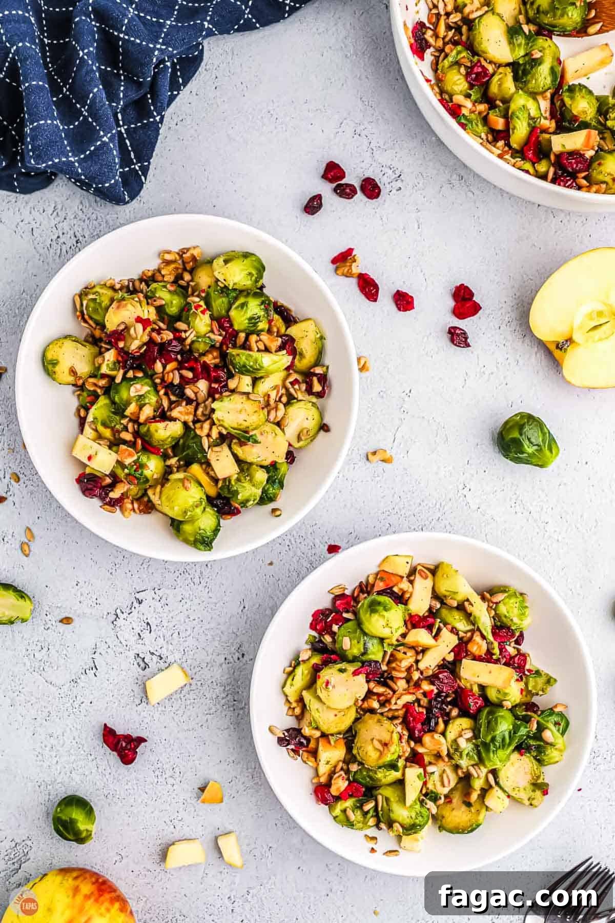 Shaved Brussels Sprouts and Cranberry Salad with Toasted Almonds 11 two plates of salad with a blue napkin