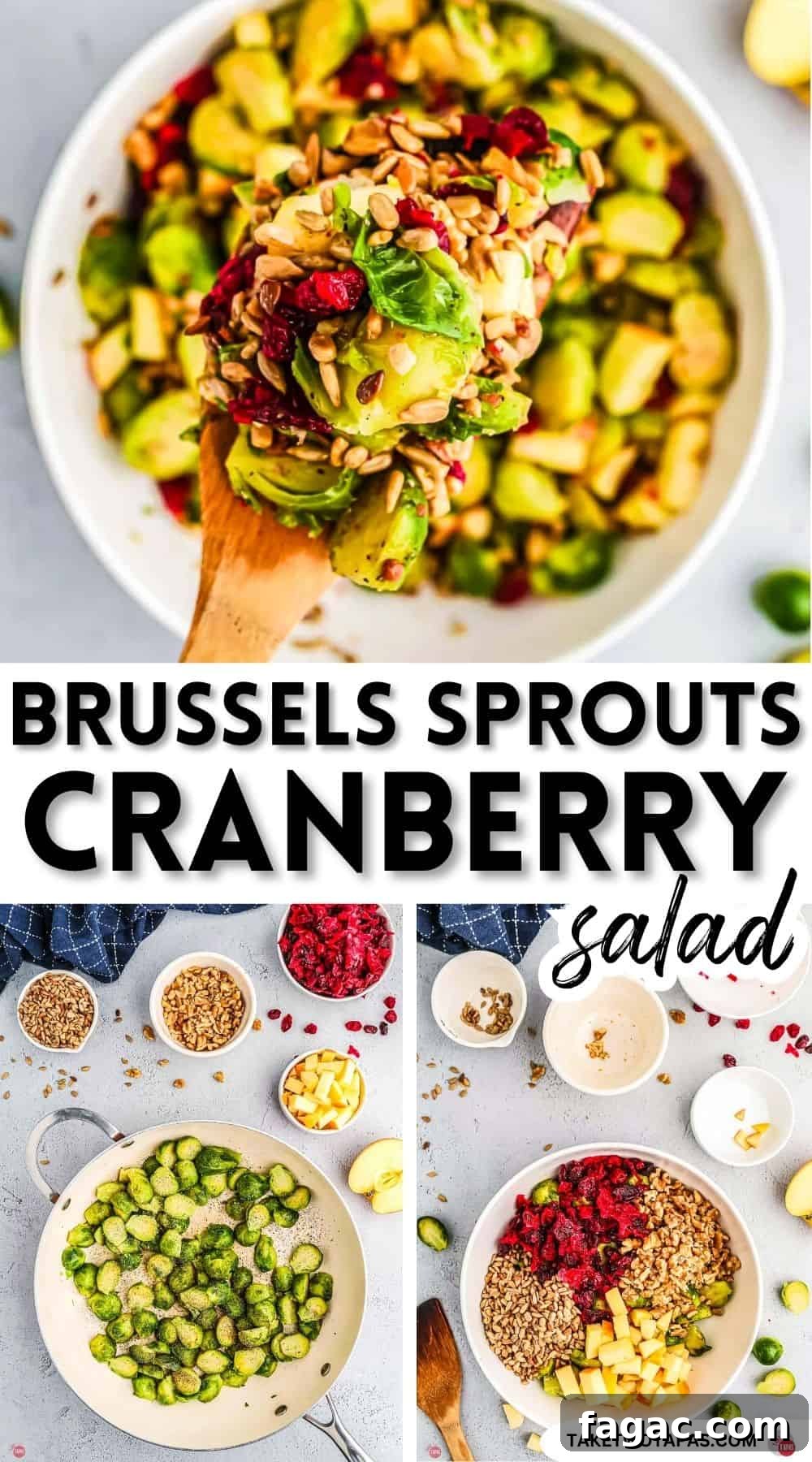 Shaved Brussels Sprouts and Cranberry Salad with Toasted Almonds 12 Pinterest pin image for Brussels sprouts cranberry salad recipe