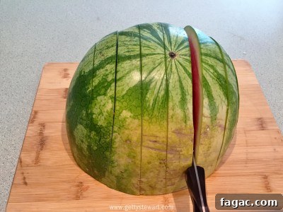 How to Cut a Watermelon: With the Rind and Without It 5 slice one direction - watermarked