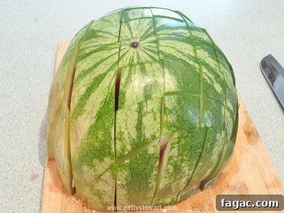 How to Cut a Watermelon: With the Rind and Without It 6 the picnic cut grid - watermarked