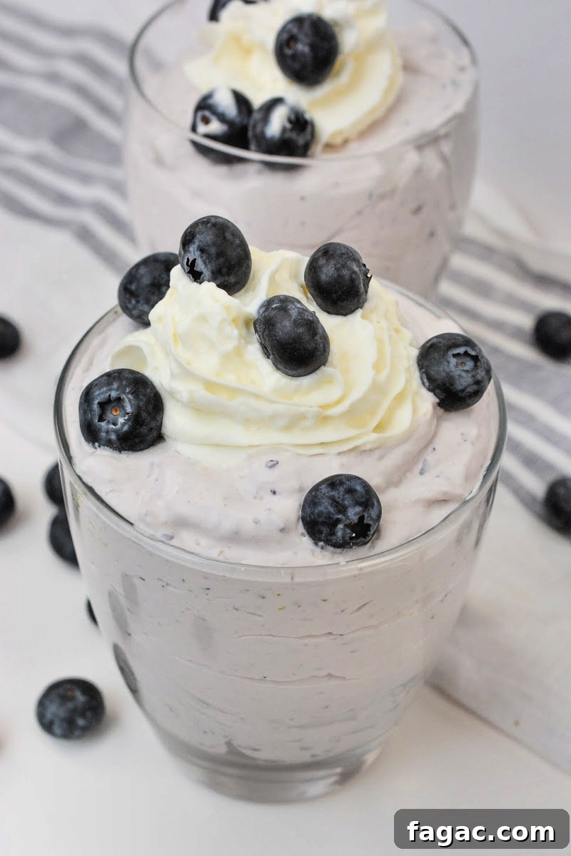 Low-Carb Blueberry Fluff Dessert Recipe 2 Low-Carb Blueberry Fluff