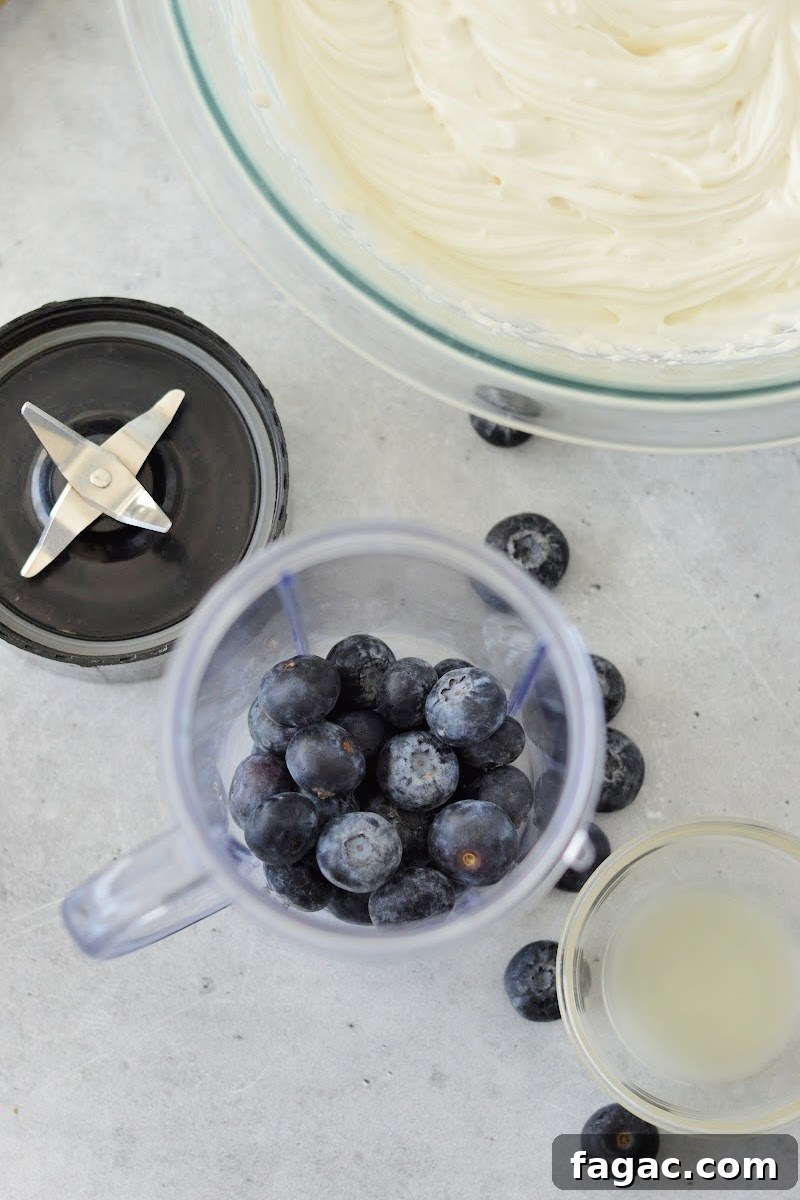Low-Carb Blueberry Fluff Dessert Recipe 11 Adding blueberries to the blender