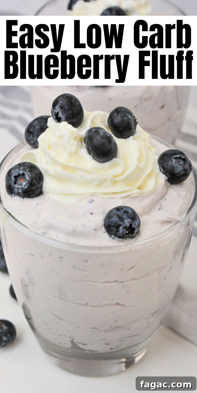 Low-Carb Blueberry Fluff Dessert Recipe 13 Low-Carb Blueberry Fluff