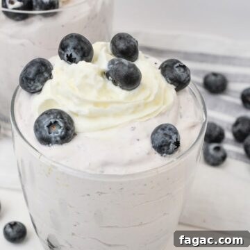Low-Carb Blueberry Fluff