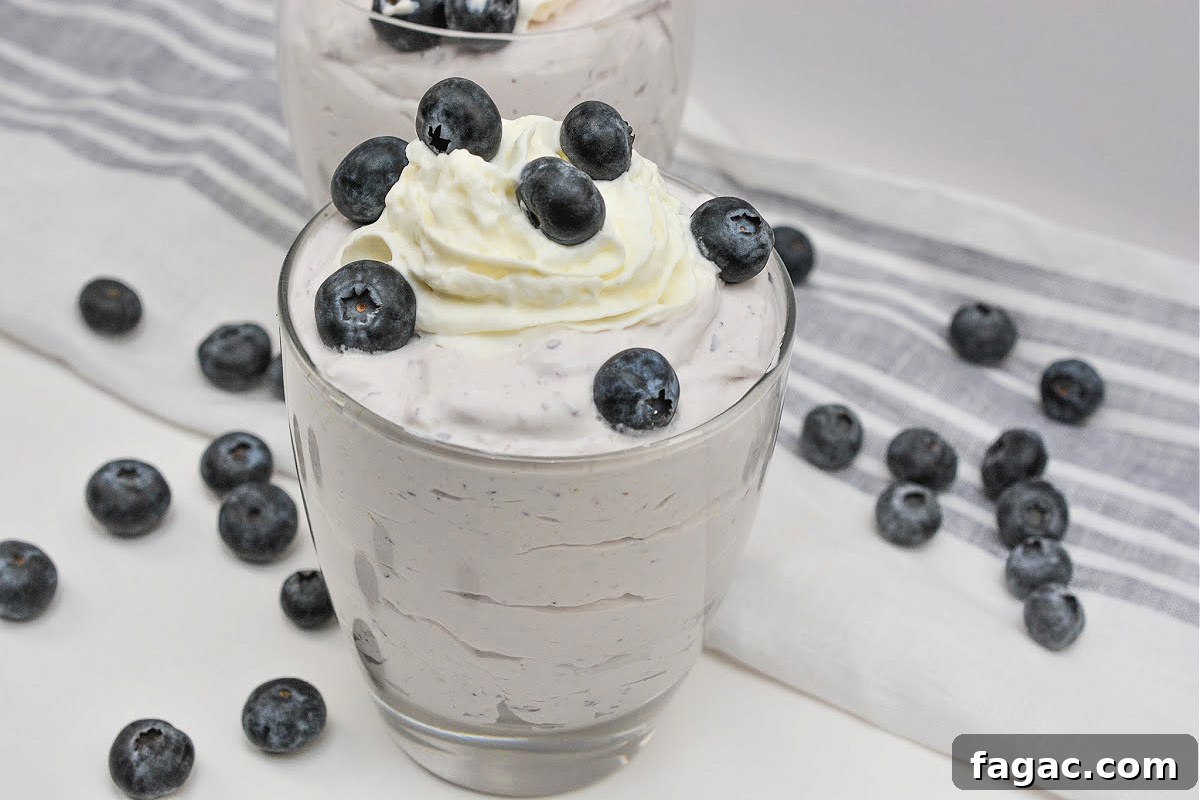 Low-Carb Blueberry Fluff Dessert Recipe 3 Low-Carb Blueberry Fluff