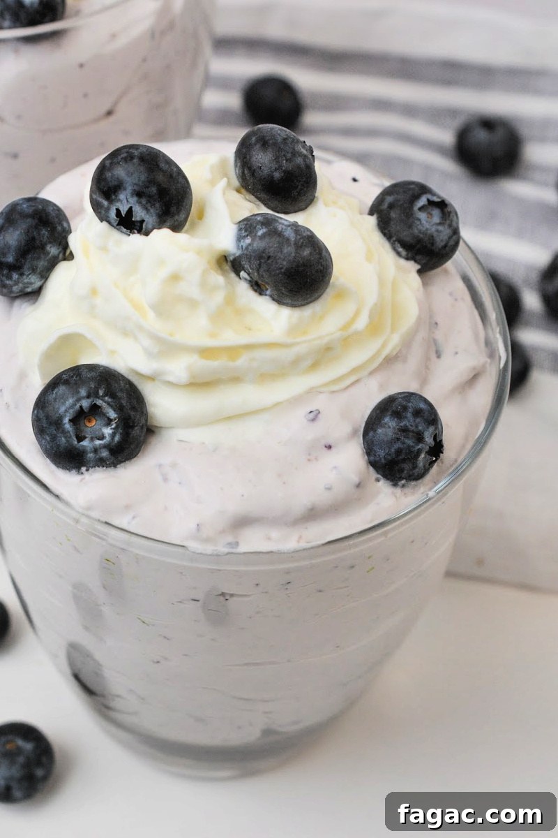 Low-Carb Blueberry Fluff Dessert Recipe 4 Low-Carb Blueberry Fluff