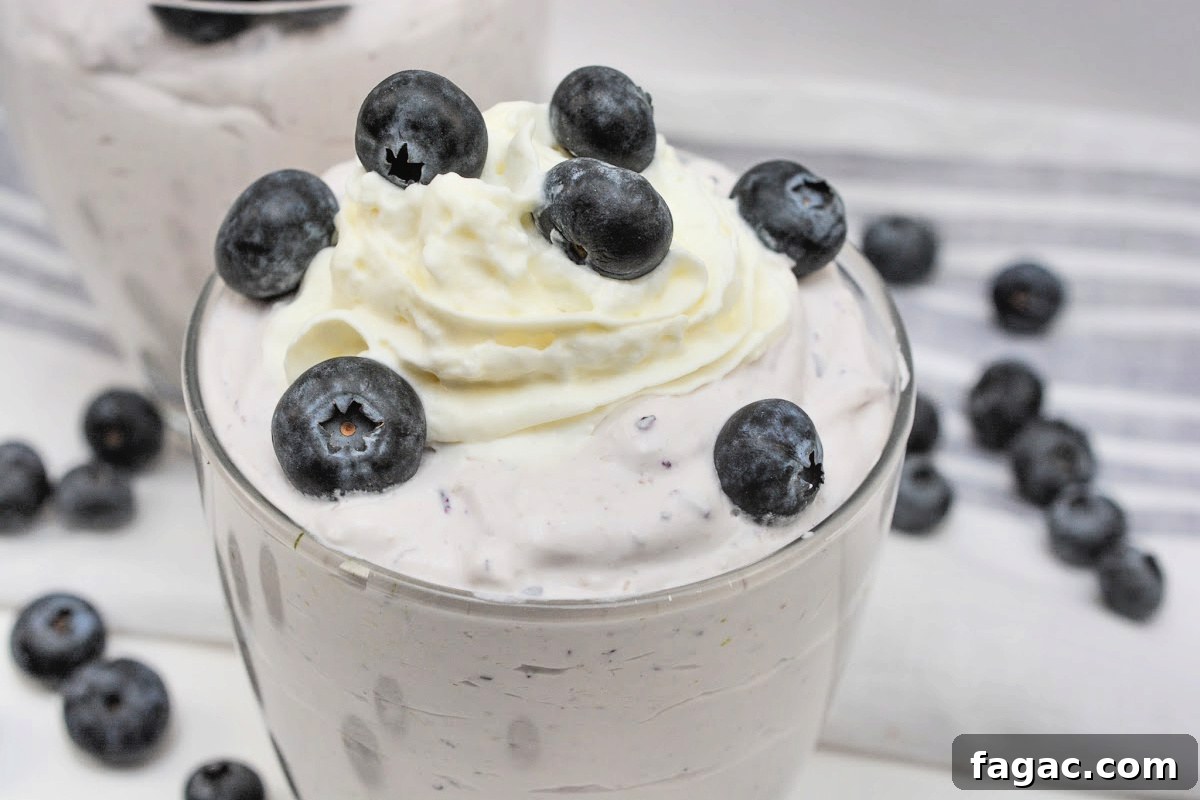 Low-Carb Blueberry Fluff Dessert Recipe 5 Low-Carb Blueberry Fluff