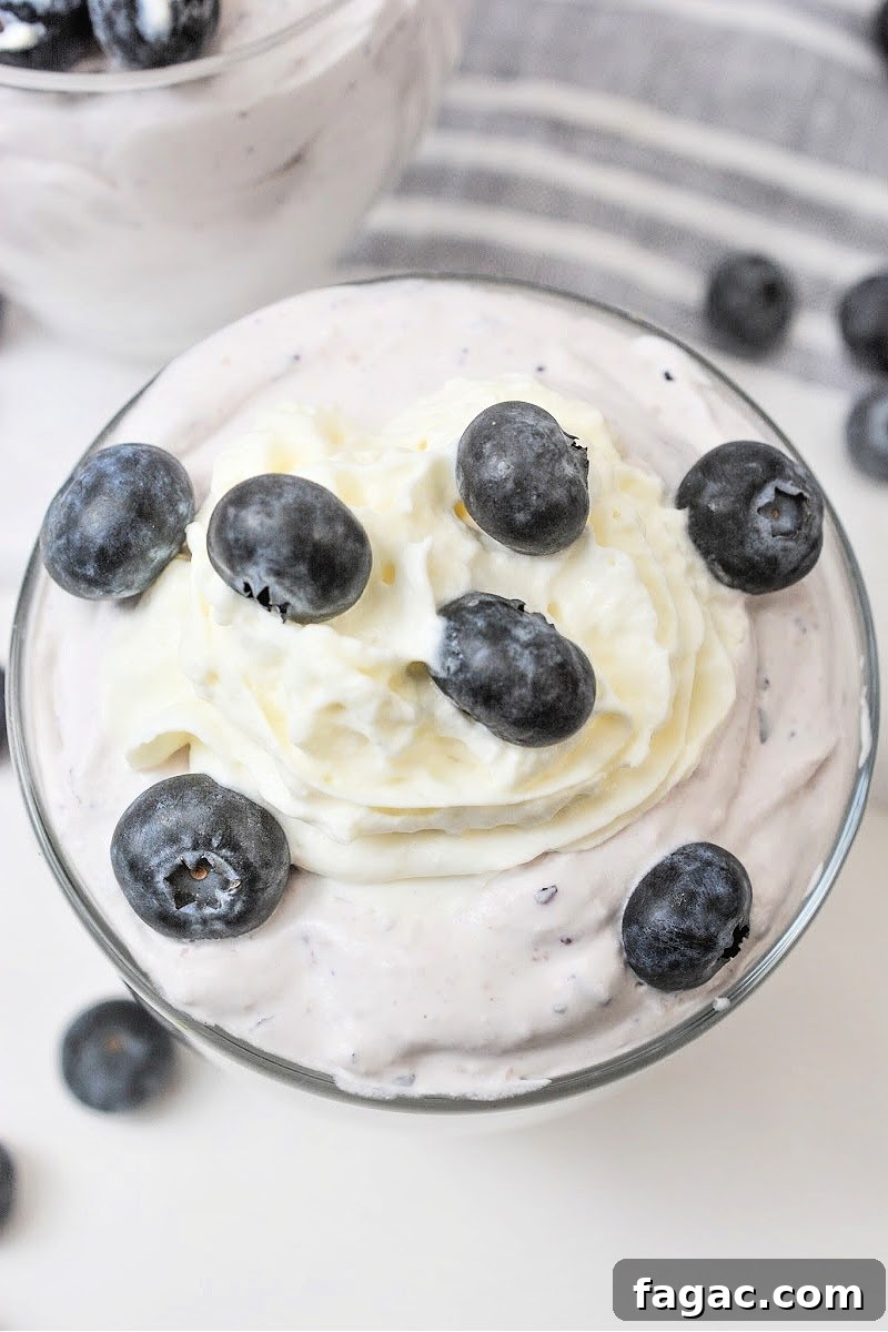 Low-Carb Blueberry Fluff Dessert Recipe 6 Low-Carb Blueberry Fluff