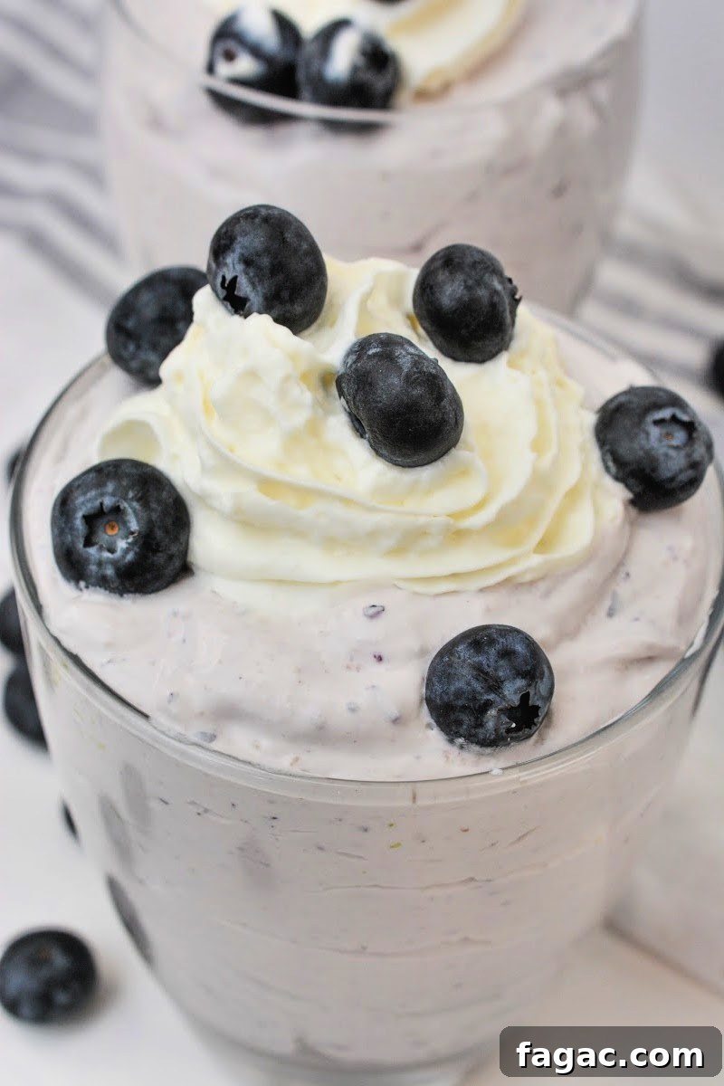 Low-Carb Blueberry Fluff Dessert Recipe 7 Low-Carb Blueberry Fluff