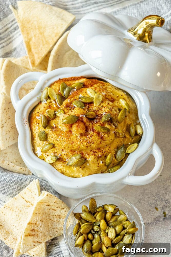 Creamy Pumpkin Hummus Recipe for Fall Appetizers 2 img 71085 1