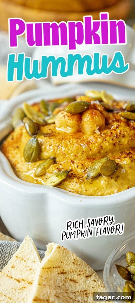 Creamy Pumpkin Hummus Recipe for Fall Appetizers 13 img 71085 20