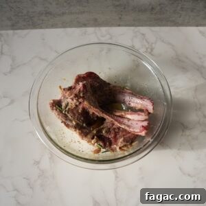 Parmesan-Crusted Lamb Chops (LongHorn Steakhouse Copycat) 4 Lamb chops in a marinade.