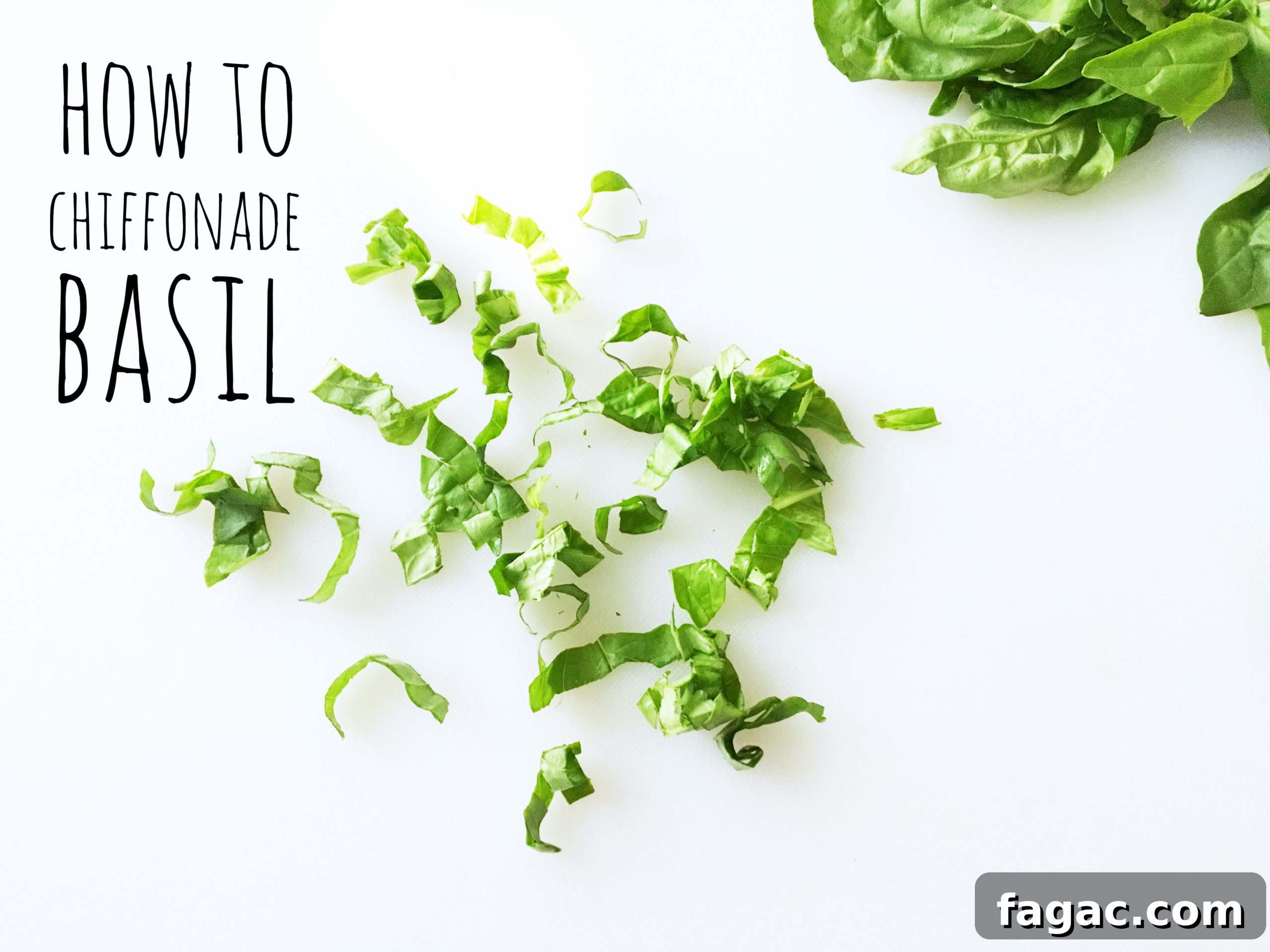 How to Chiffonade Basil Leaves for Fresh Herb Ribbons 2 img 749 1 scaled