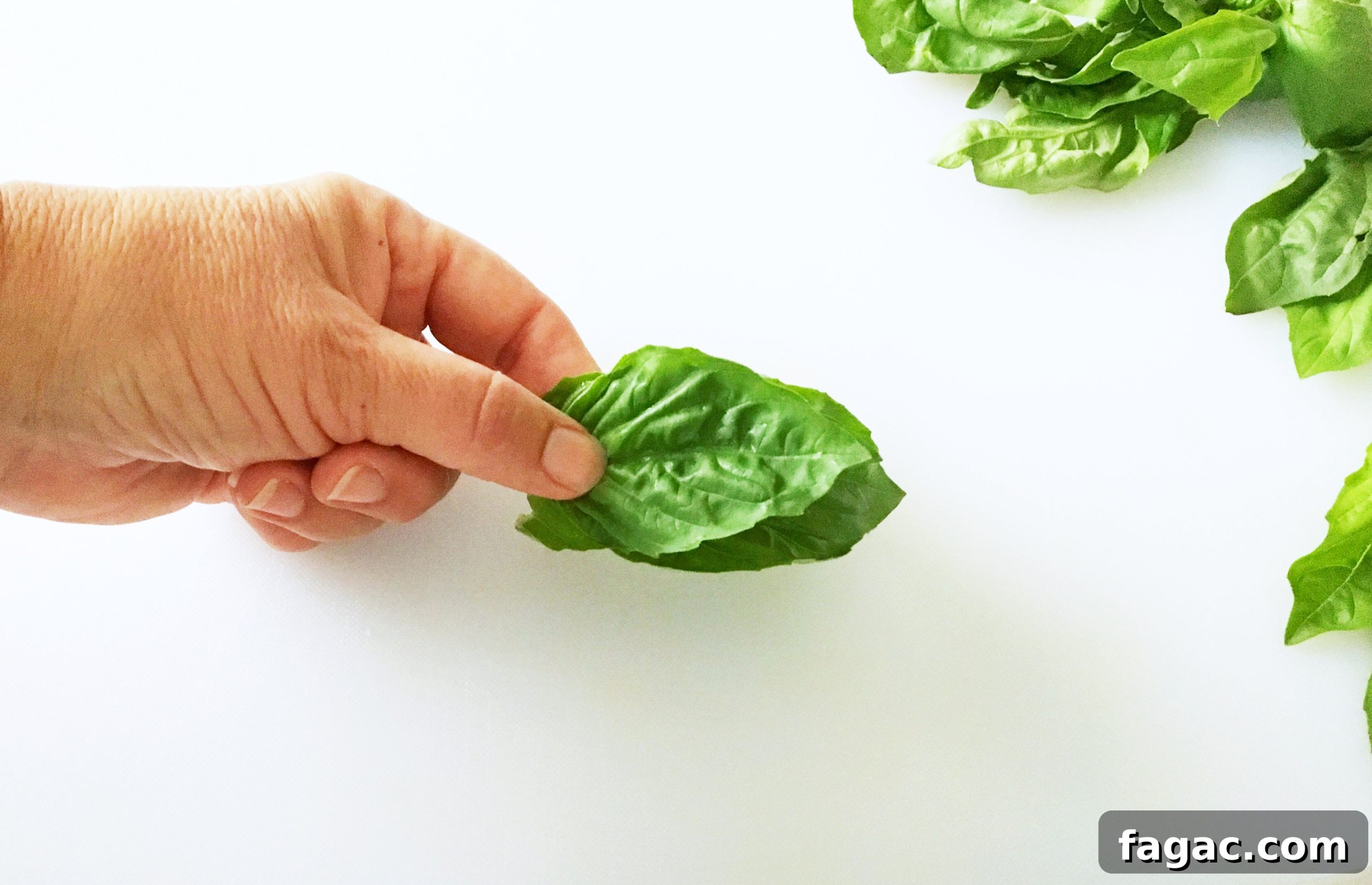 How to Chiffonade Basil Leaves for Fresh Herb Ribbons 4 img 749 3 scaled